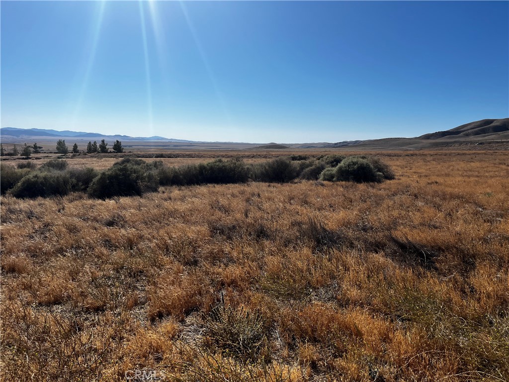 0 7 7 Mile Road Santa Margarita, CA 93453 - Photo 3 of 5