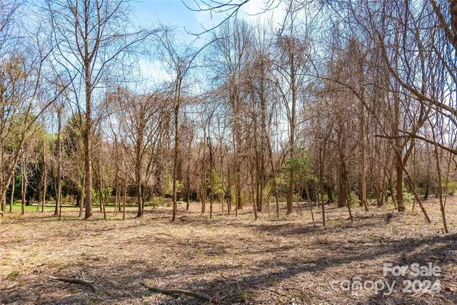 $230,000 | 0 Berry Creek Drive, Flat Rock, NC 28731