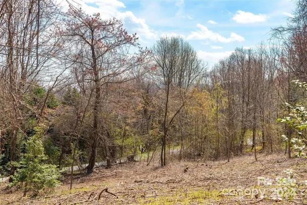 $220,000 | 0 Berry Creek Drive, Flat Rock, NC 28731