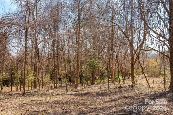 $220,000 | 0 Berry Creek Drive, Flat Rock, NC 28731