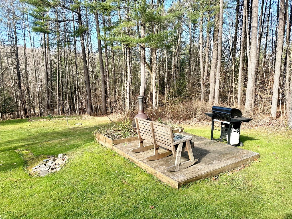 136 Alexander Road Chenango Forks, NY 13746 - Photo 31 of 32 Gallery Image 31