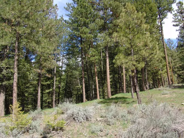 $110,000 | 1353 Sterling Drive, Unit 68, Cascade, ID 83611