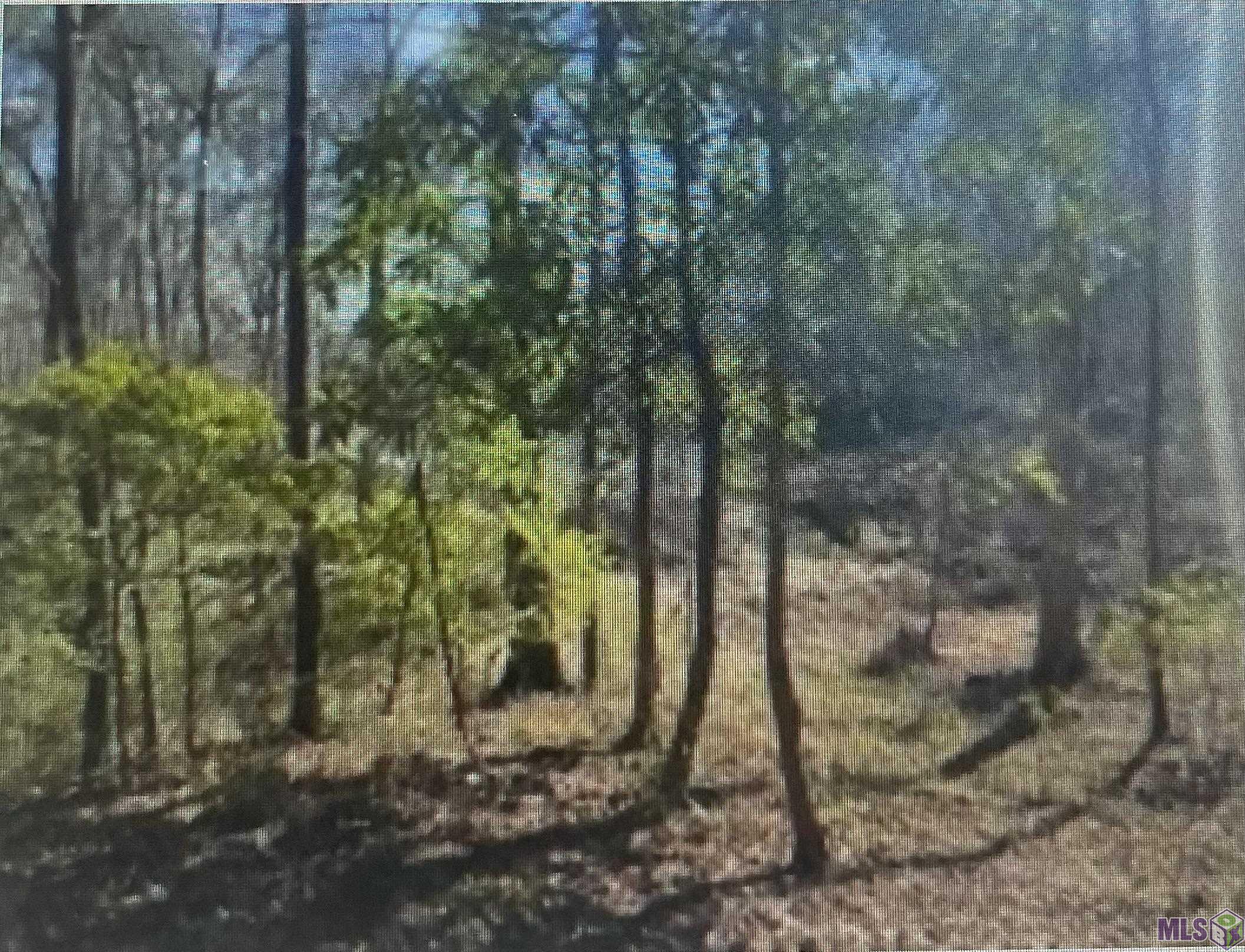 Lot 11 Turkey Creek Road Natchez, MS 39120 - Photo 3 of 4