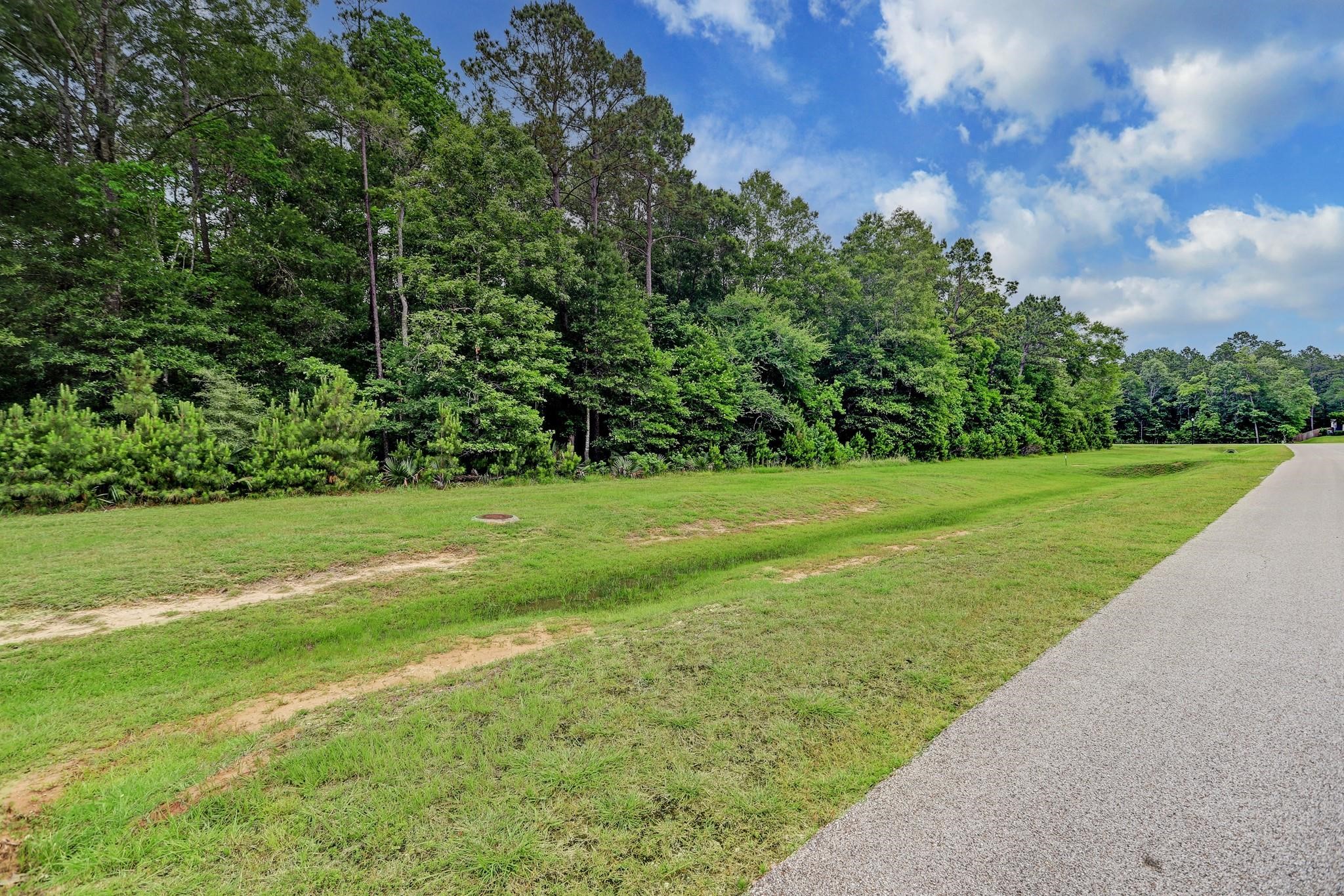 522 North Commons View Drive Houston, TX 77336 - Photo 5 of 5