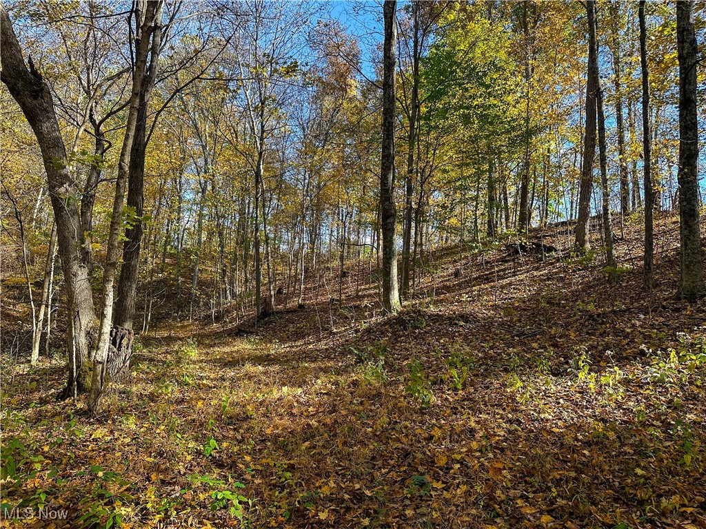 0 Clark Road Cutler, OH 45724 - Photo 3 of 26 View of undeveloped land