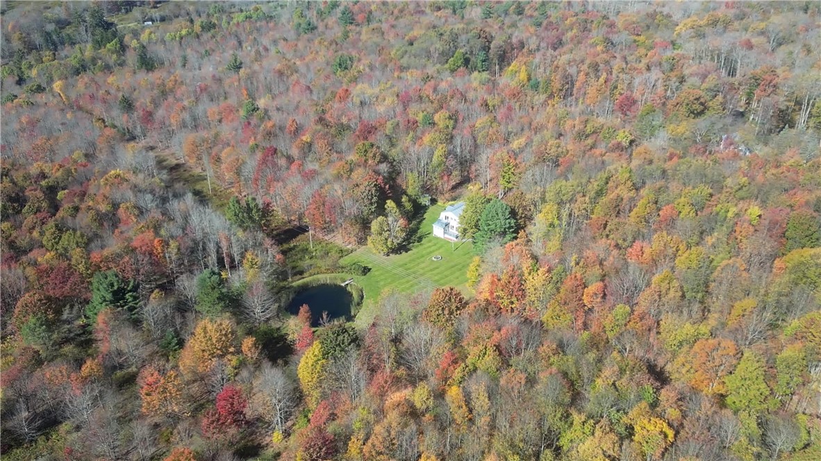 1135 Ridge Road Hamden, NY 13782 - Photo 13 of 50