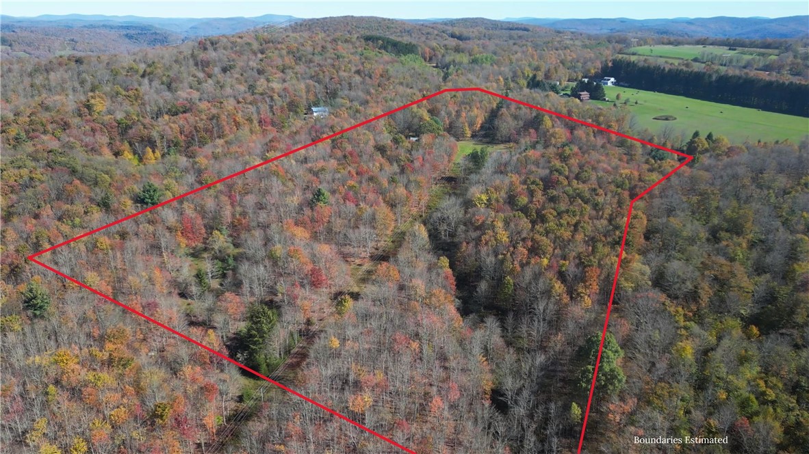 1135 Ridge Road Hamden, NY 13782 - Photo 16 of 50