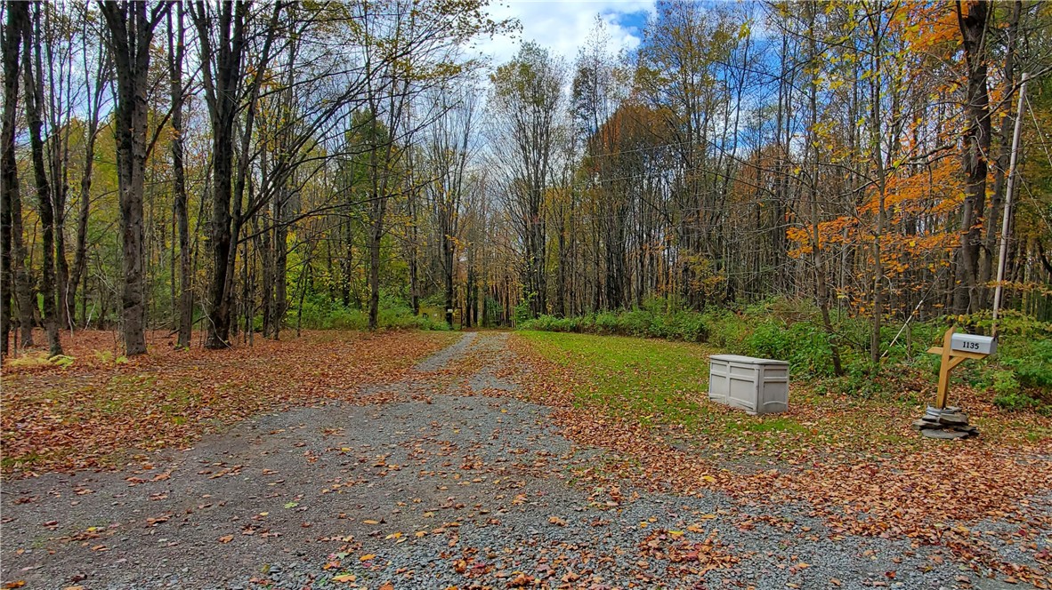 1135 Ridge Road Hamden, NY 13782 - Photo 36 of 50