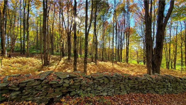 $360,000 | 1135 Ridge Road, Hamden, NY 13782