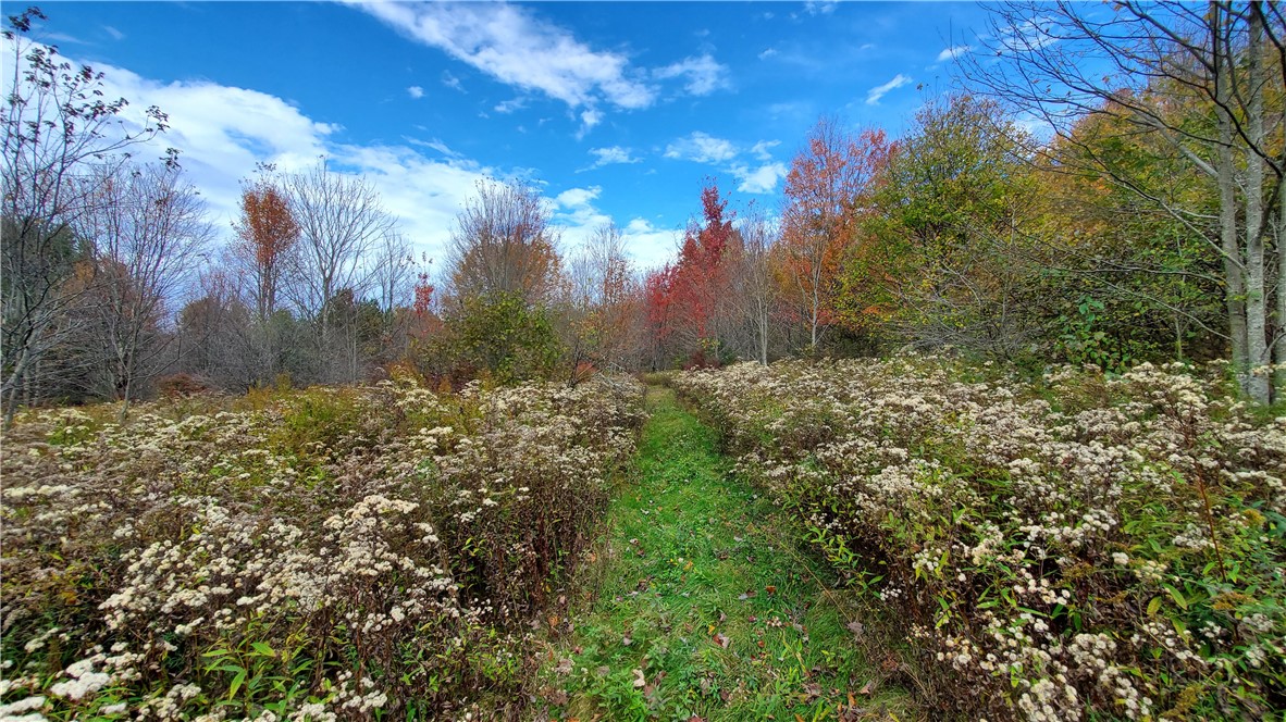 1135 Ridge Road Hamden, NY 13782 - Photo 42 of 50