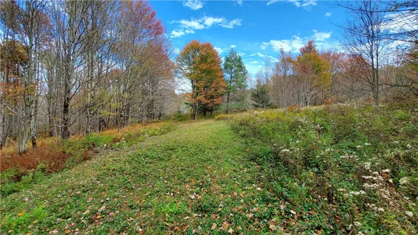 $395,000 | 1135 Ridge Road, Hamden, NY 13782