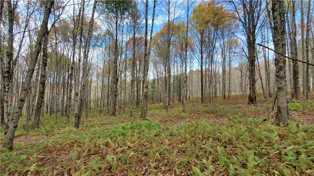 $360,000 | 1135 Ridge Road, Hamden, NY 13782