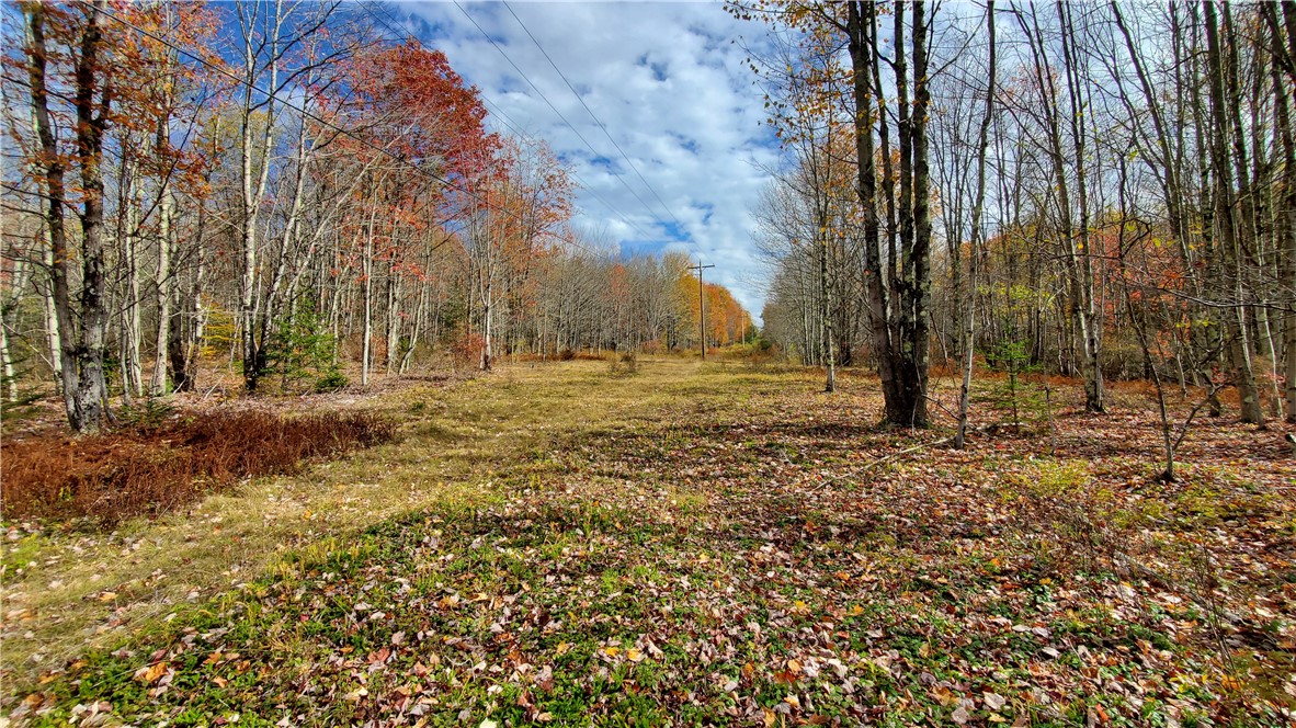 1135 Ridge Road Hamden, NY 13782 - Photo 45 of 50