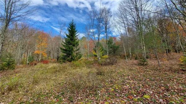 $395,000 | 1135 Ridge Road, Hamden, NY 13782