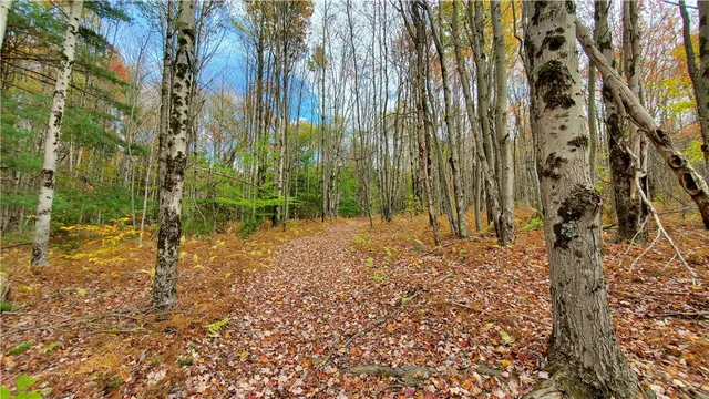 $360,000 | 1135 Ridge Road, Hamden, NY 13782