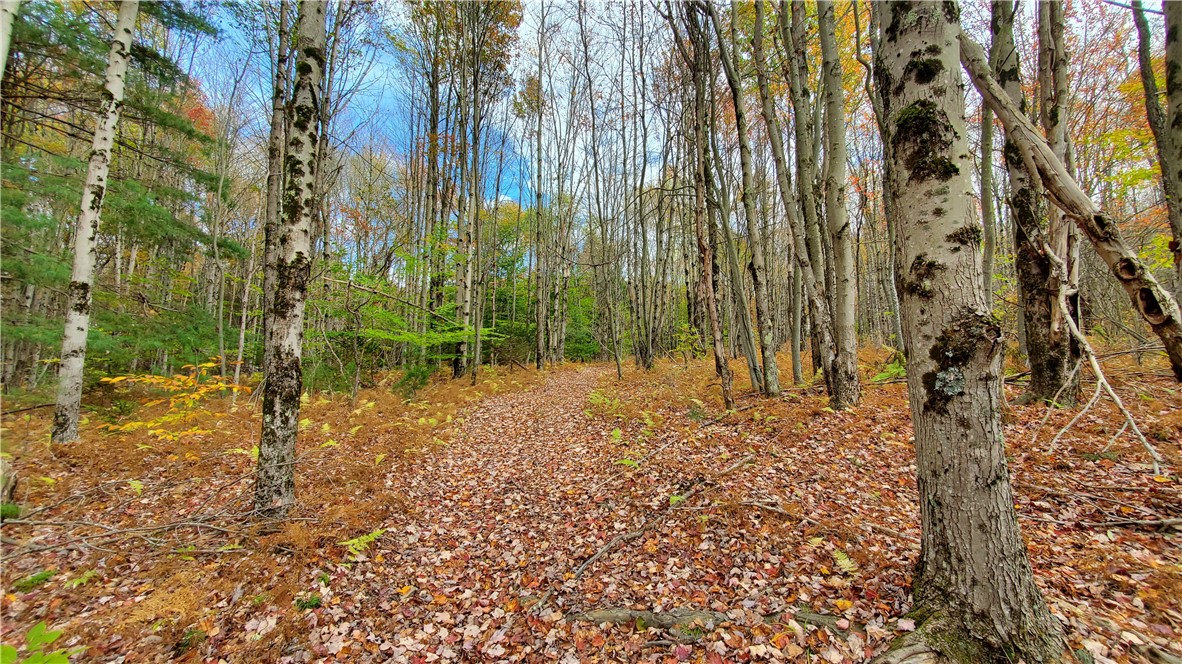 1135 Ridge Road Hamden, NY 13782 - Photo 47 of 50