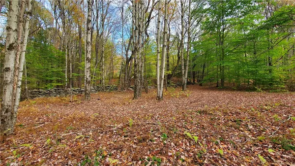 $395,000 | 1135 Ridge Road, Hamden, NY 13782