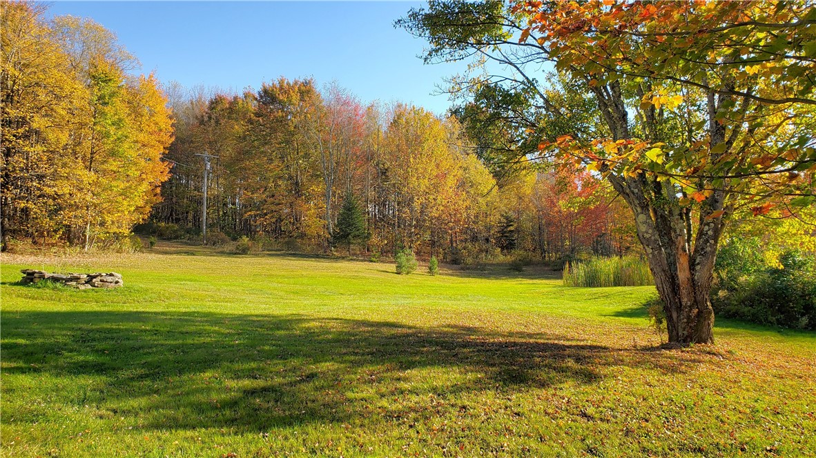 1135 Ridge Road Hamden, NY 13782 - Photo 6 of 50