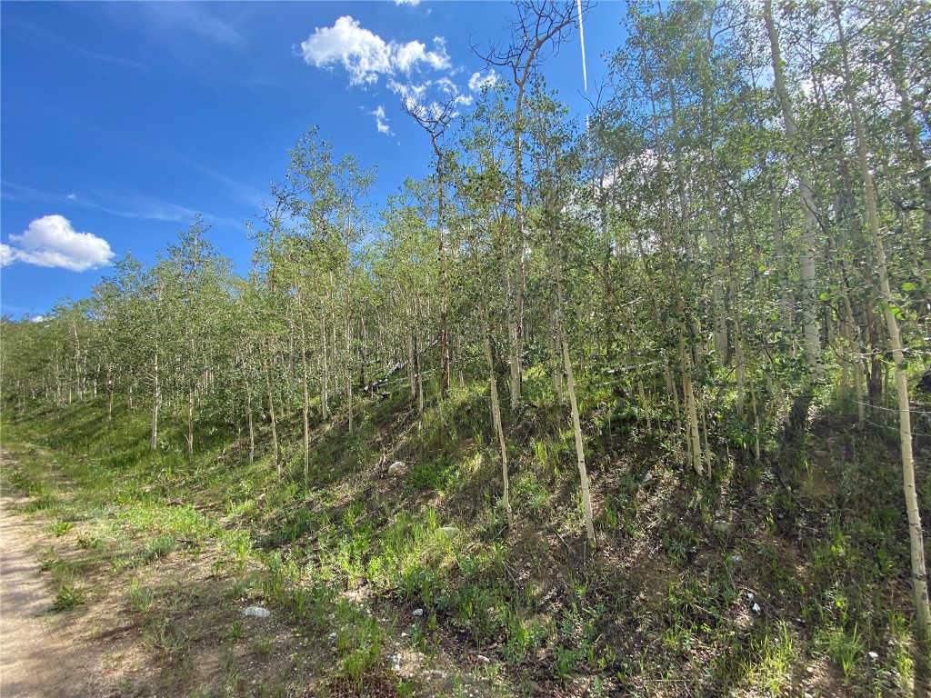 Tbd Tbd Ponderosa Road Fairplay, CO 80440 - Photo 8 of 34 Gallery Image 8
