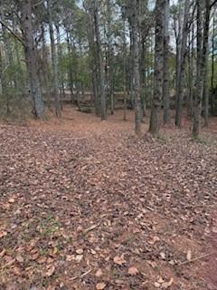 4795 Truman Mountain Road Gainesville, GA 30506 - Photo 3 of 6