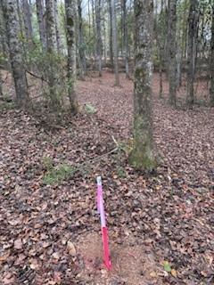 4795 Truman Mountain Road Gainesville, GA 30506 - Photo 4 of 6