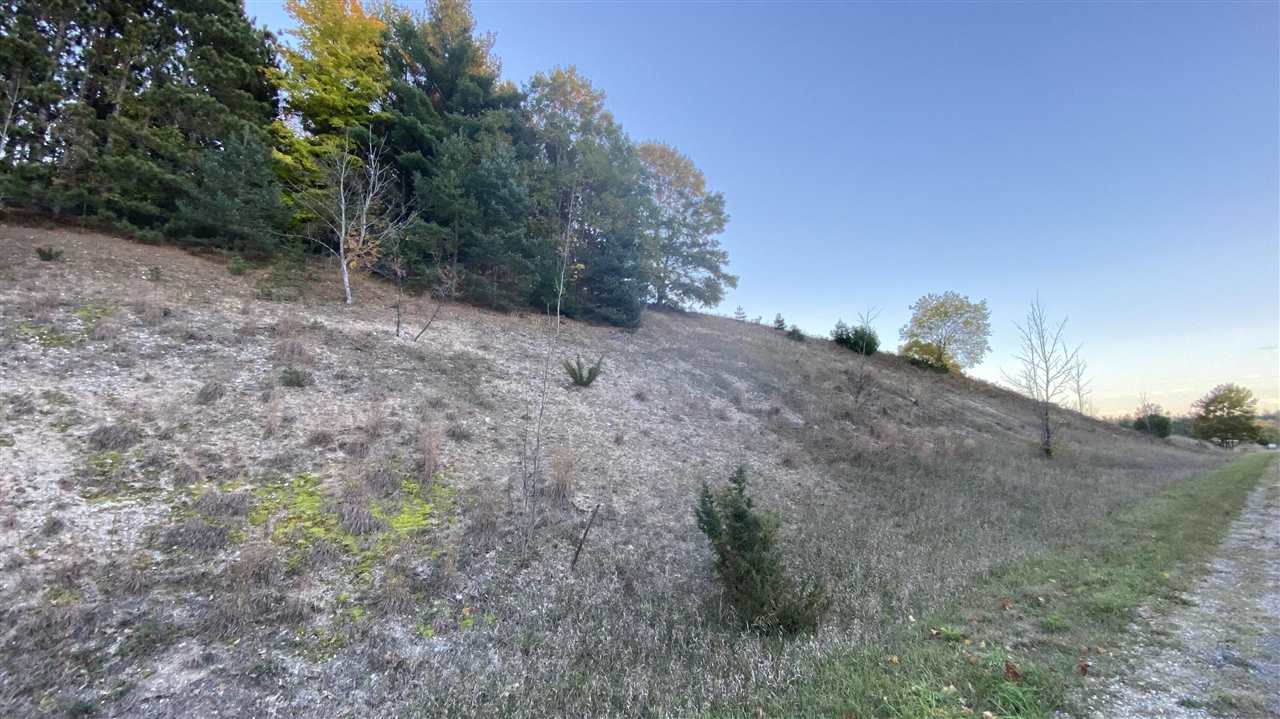 11-acres Milarch Road Onekama, MI 49675 - Photo 3 of 37