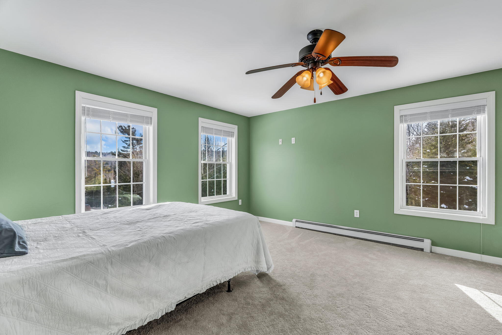 325 Lower Dedham Road Holden, ME 04429 - Photo 39 of 75 IMG_3105