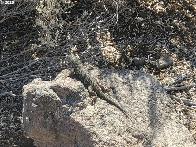 $250,000 | Clover Flat Road, Lakeview, OR 97630