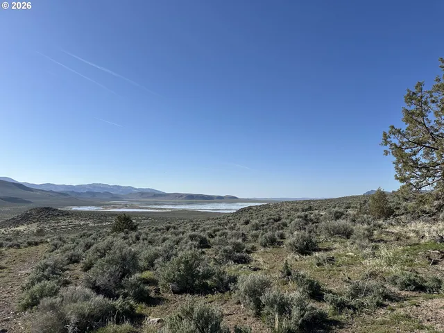 a view of an ocean beach