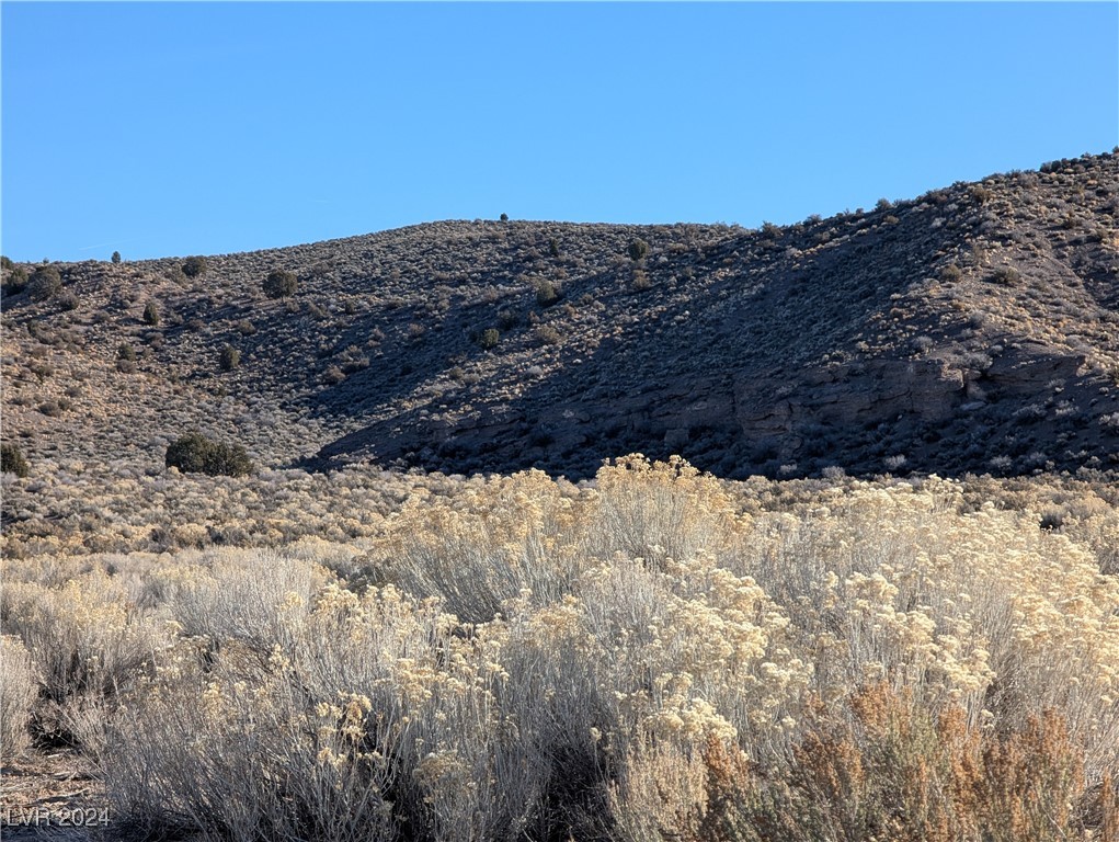 Clover Canyon Road Caliente, NV 89008 - Photo 16 of 18 Gallery Image 16