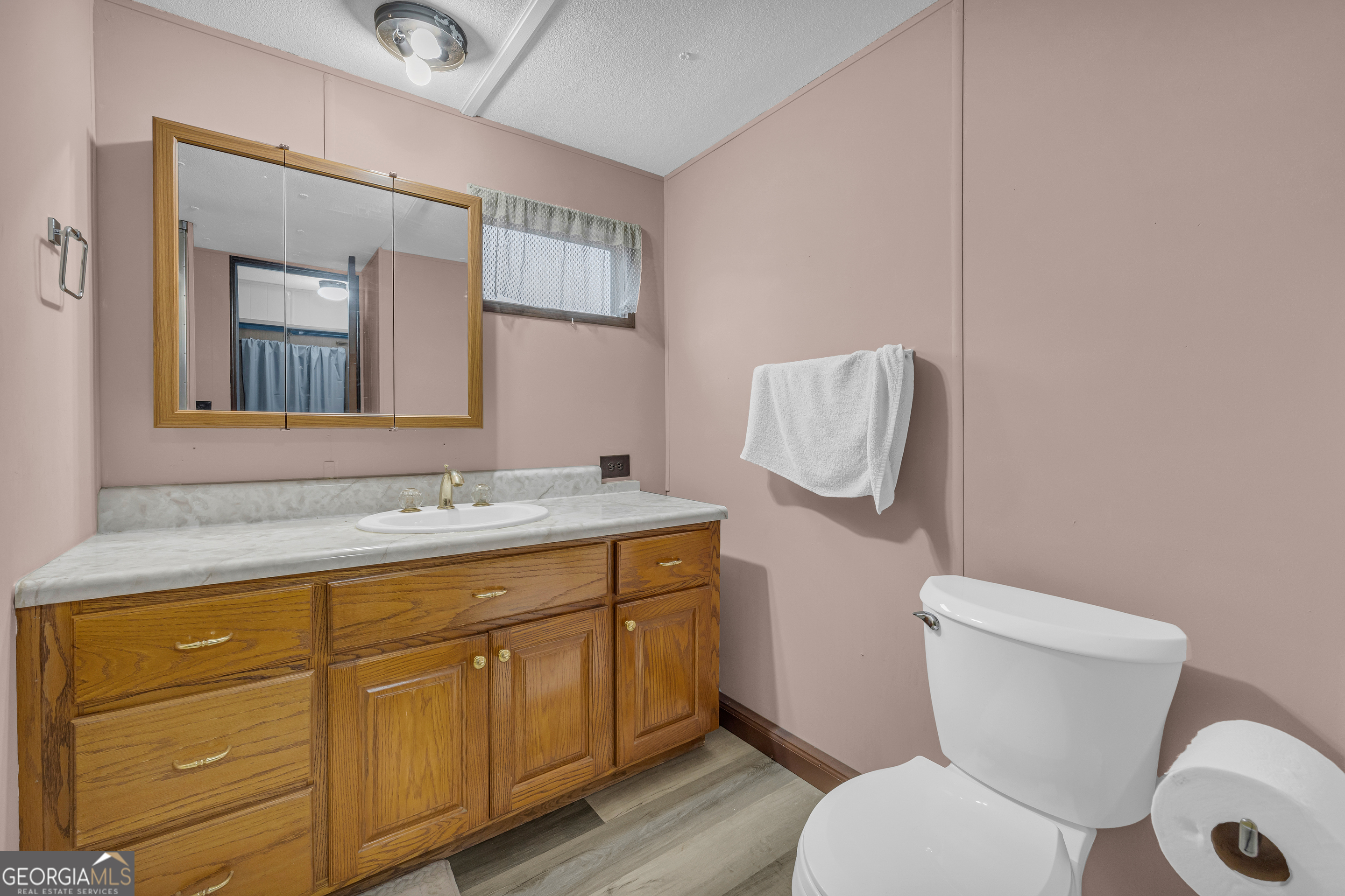 39 Valley View Drive Lavonia, GA 30553 - Photo 20 of 33 a bathroom with a toilet a sink and mirror