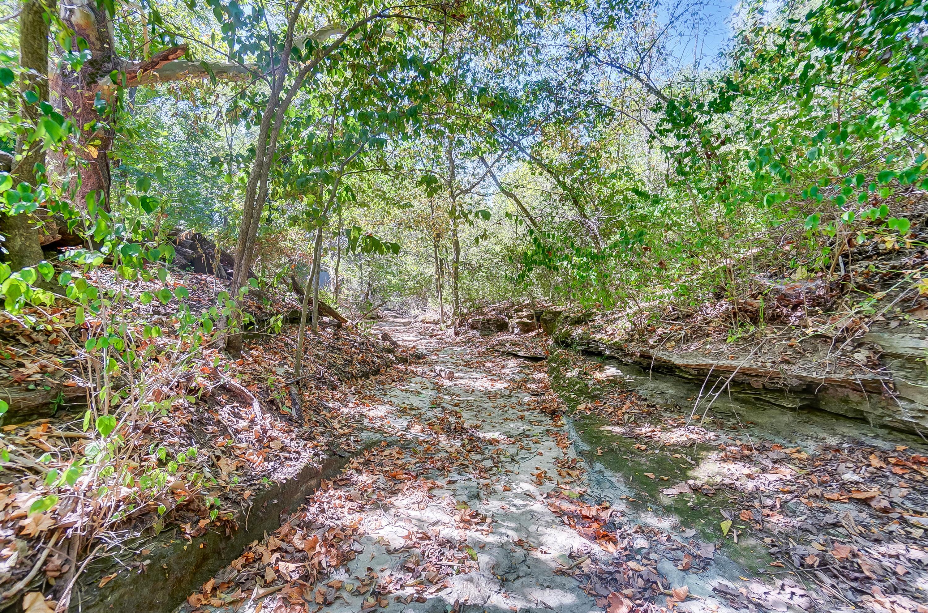 1560 Carriage Road Powell, OH 43065 - Photo 61 of 64 Creek