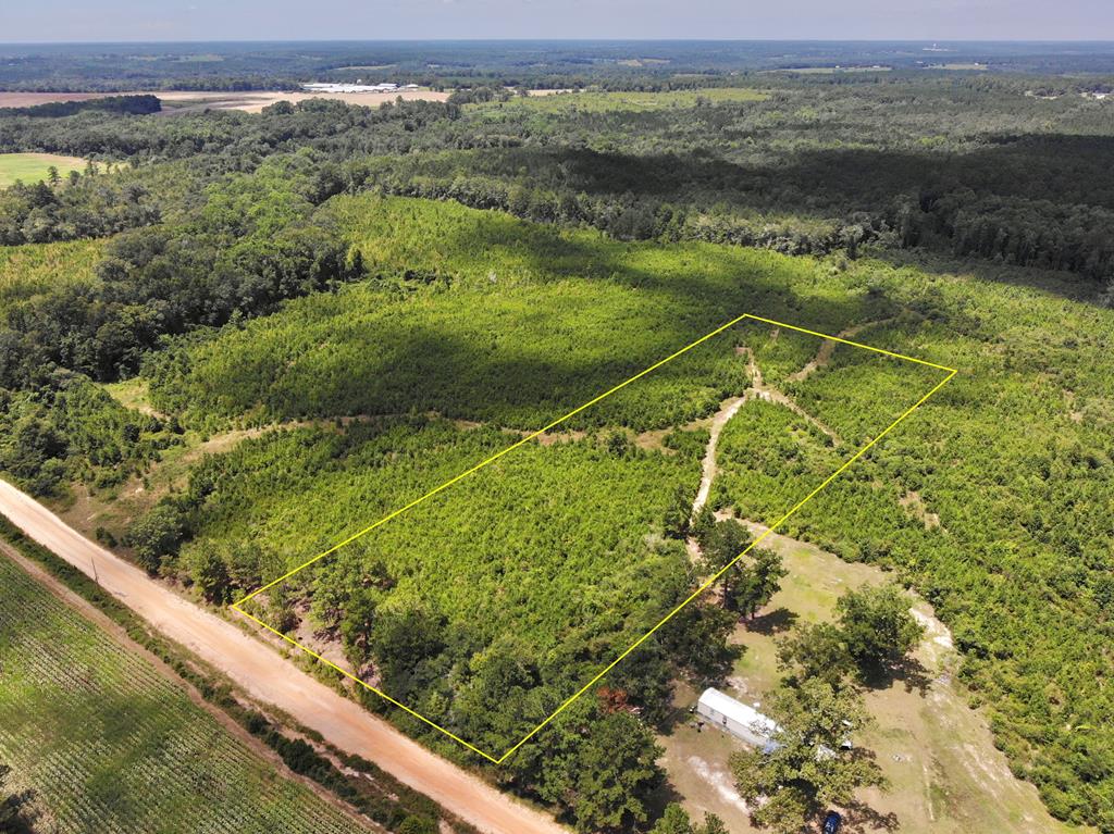 6-ac Old Elba Road Coffee Springs, AL 36318 - Photo 1 of 15