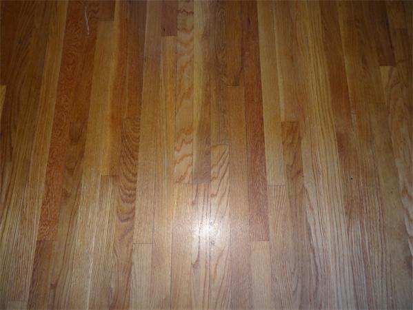 64 Wesley Street Lawrence, MA 01841 - Photo 17 of 30 Gallery Image 17