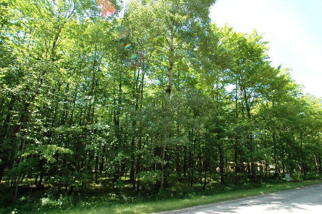 Lot 22 Red Cherry Road Baileys Harbor, WI 54202 - Photo 1 of 1