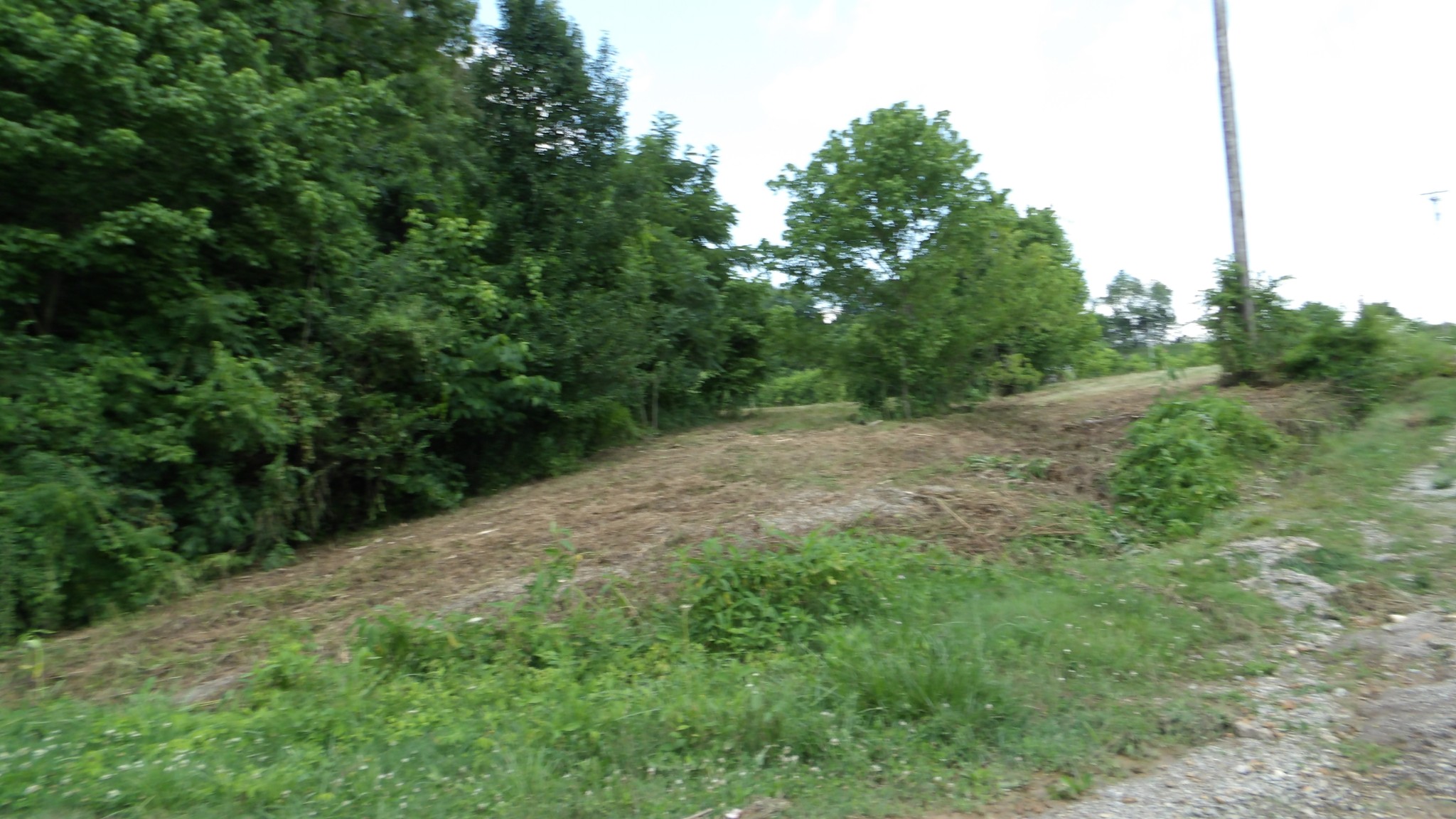 0 Lonnie Reecer Road Celina, TN 38551 - Photo 37 of 44