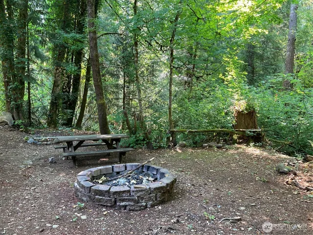 a view of a backyard with plants and trees