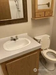 a bathroom with a sink and a toilet