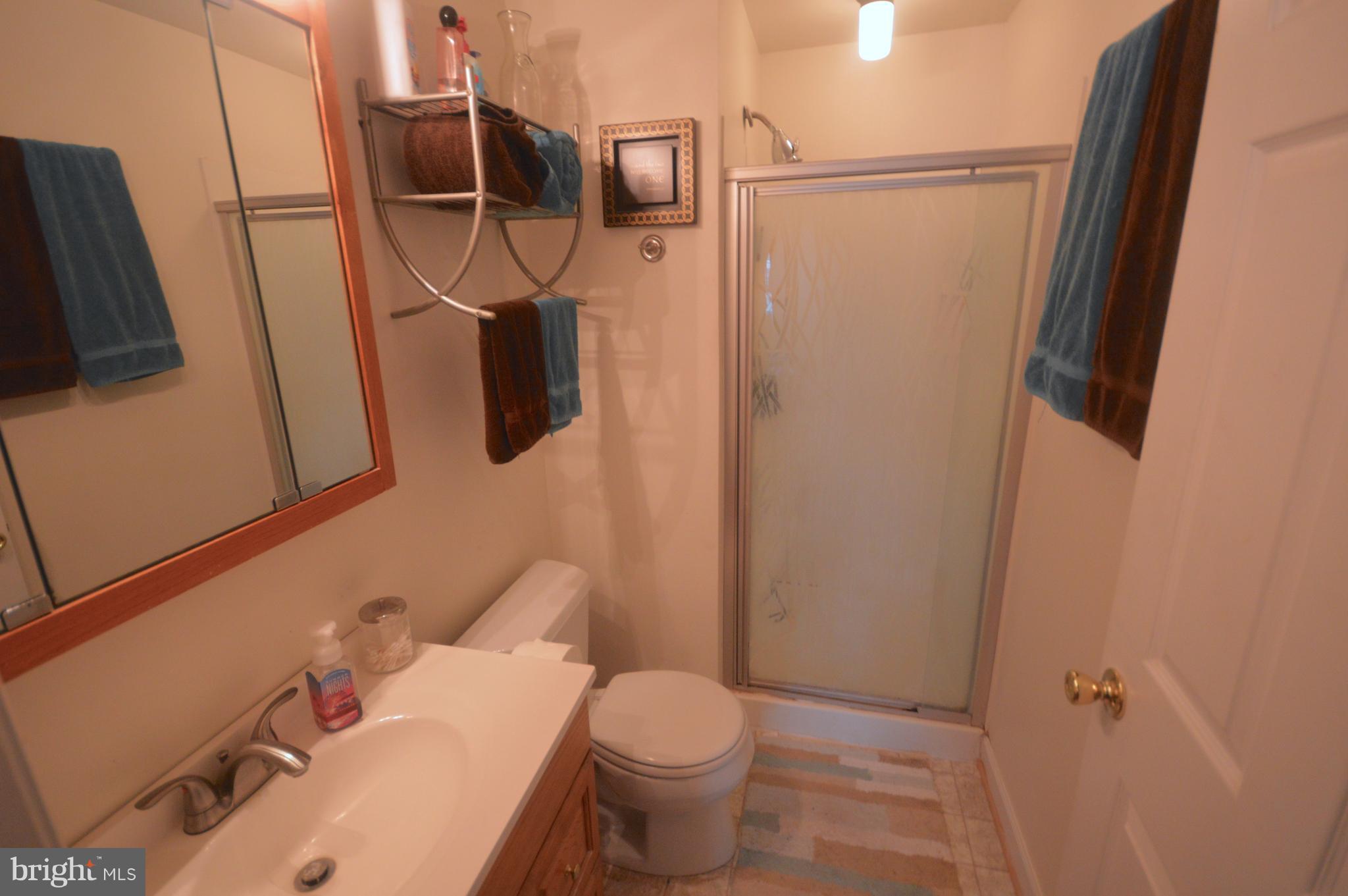 17685 Kohlhoss Road Poolesville, MD 20837 - Photo 14 of 19 Bath (Master)