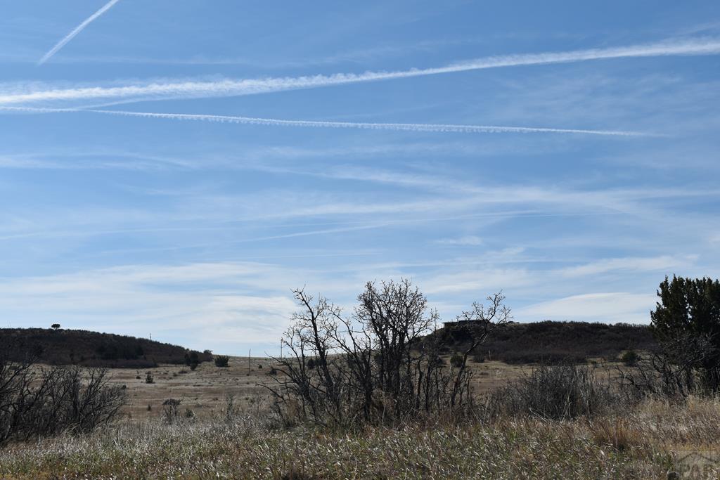 Tbd Avis Place Rye, CO 81069 - Photo 2 of 7