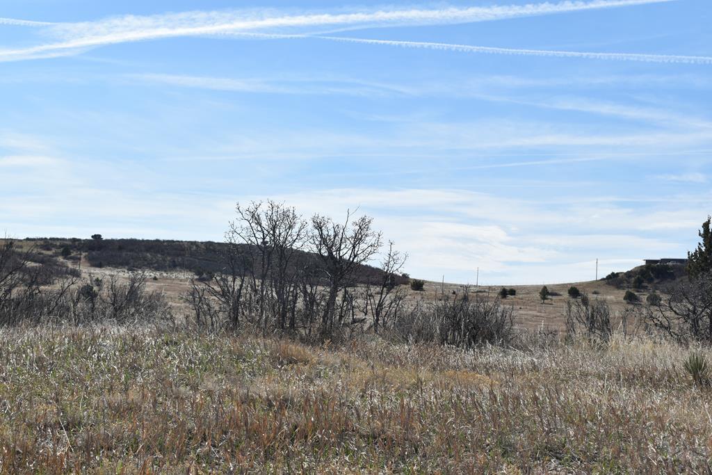 Tbd Avis Place Rye, CO 81069 - Photo 3 of 7