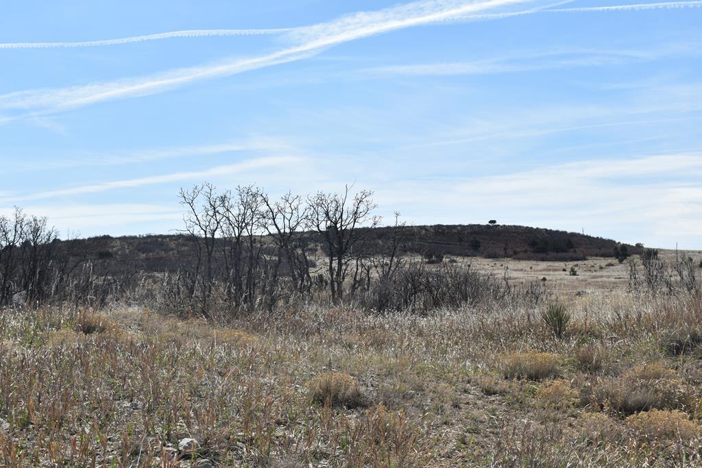 Tbd Avis Place Rye, CO 81069 - Photo 4 of 7