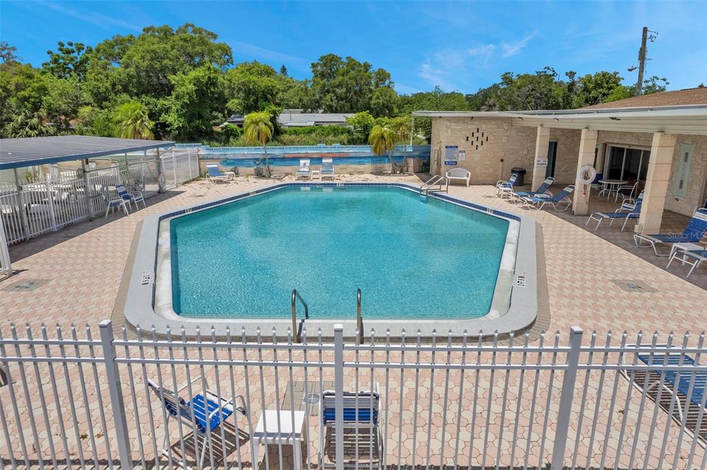 250 Rosery Road Northwest, Unit 233 Largo, FL 33770 - Photo 43 of 50 Gallery Image 43