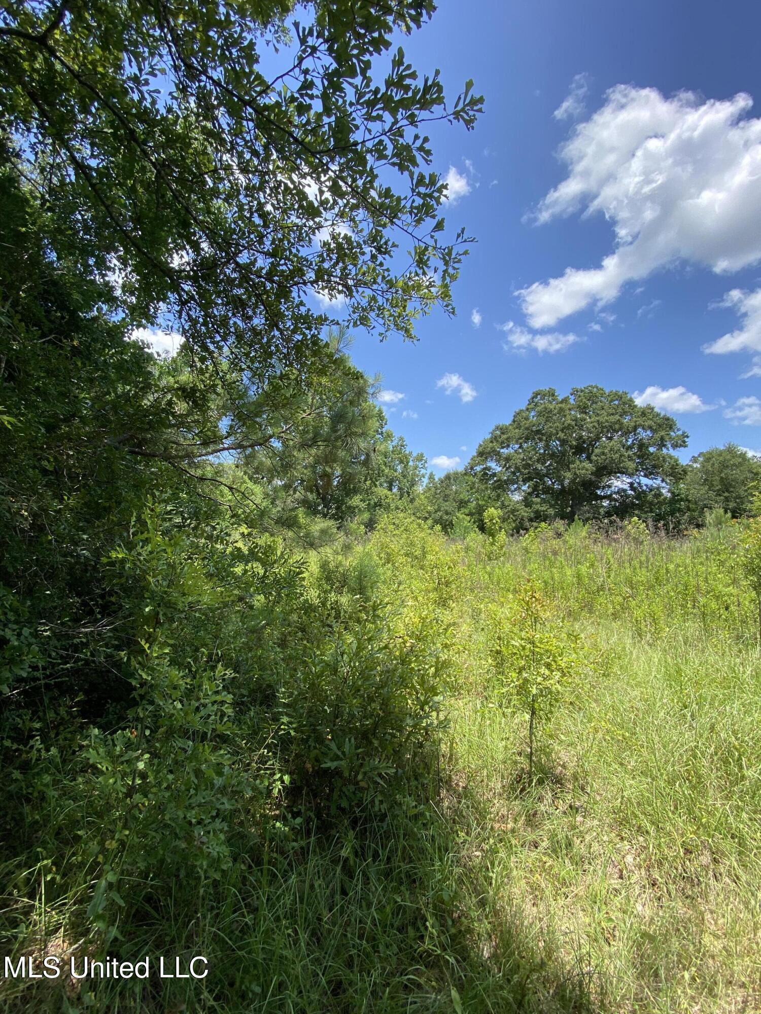 17 Buddy Road Picayune, MS 39466 - Photo 3 of 6 IMG_9166