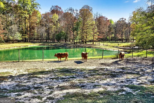 $1,400,000 | 130 Elsberry Lane, Brooks, GA 30205