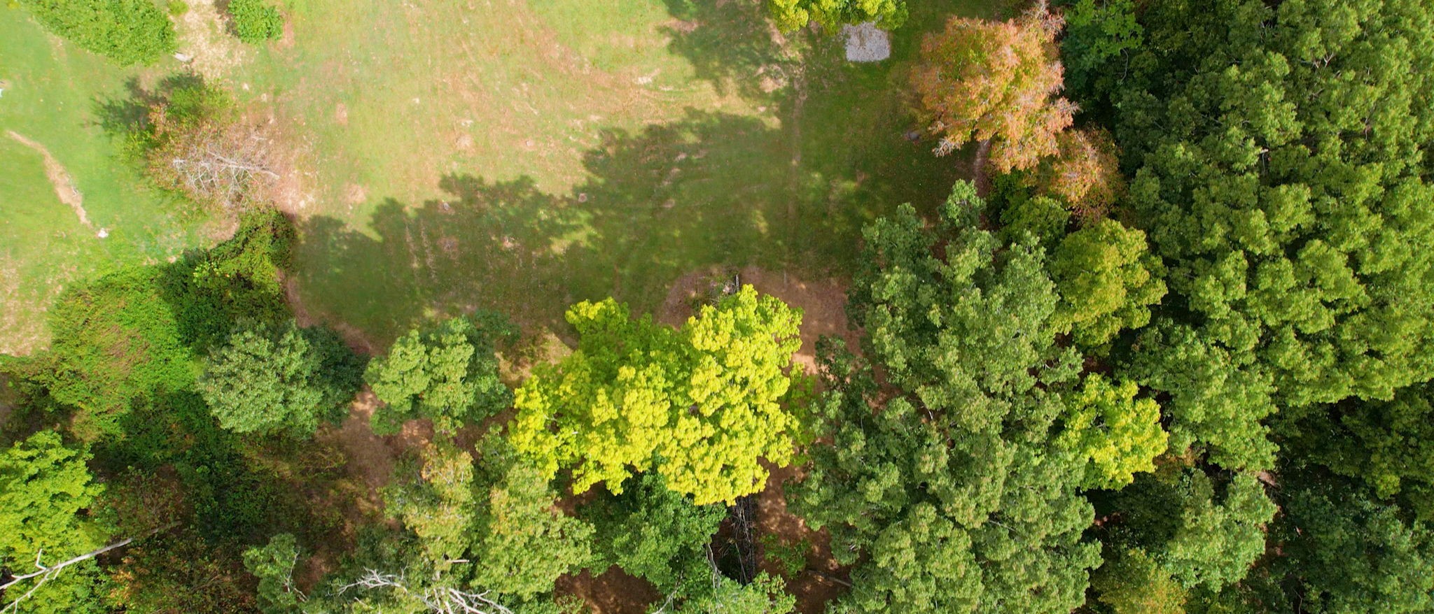 826 Hooper Road Charlotte, TN 37036 - Photo 34 of 36 Gallery Image 34