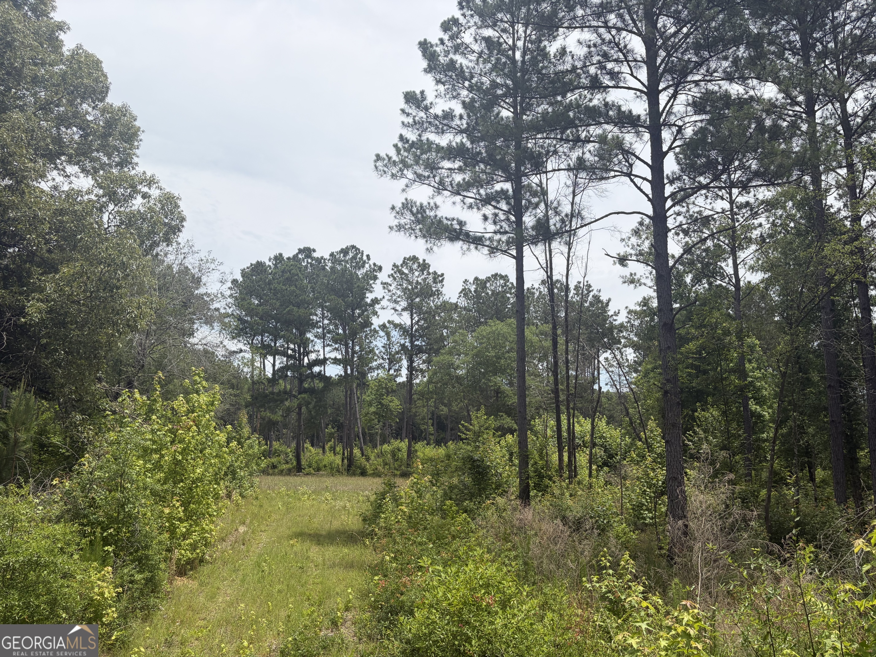 8 Sunhill Grange Road Sandersville, GA 31018 - Photo 5 of 11