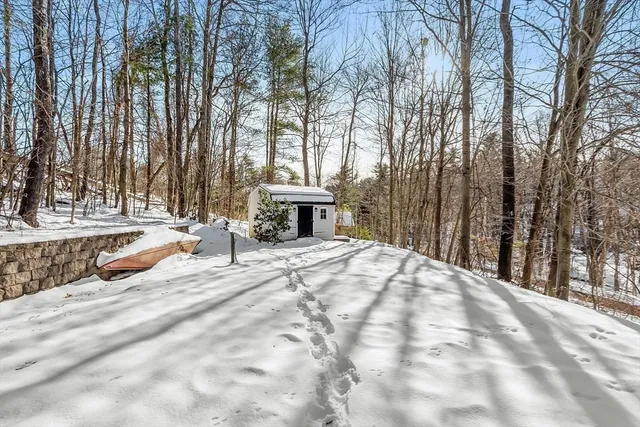 a view of a backyard with large trees