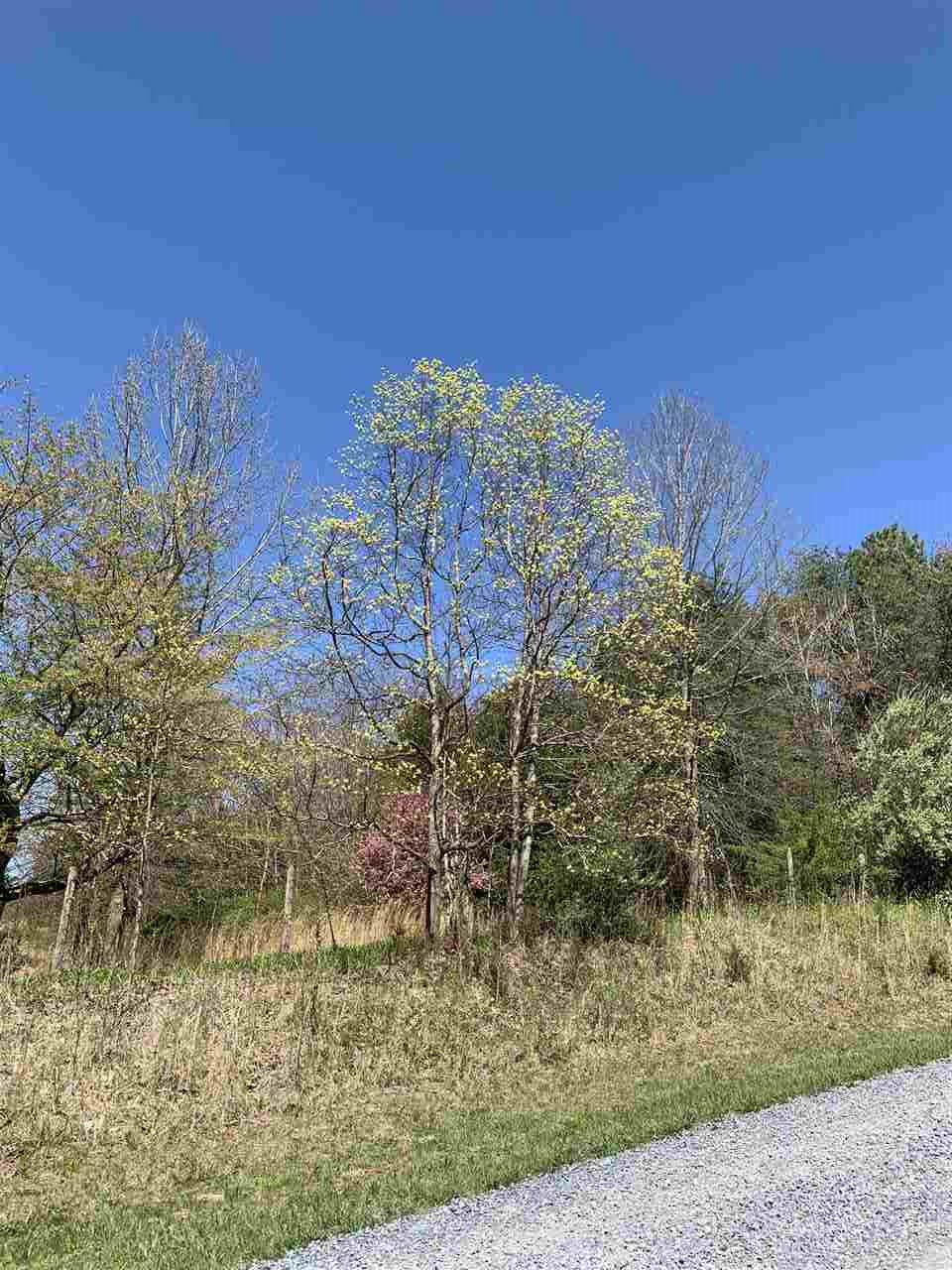 Tbd River Hills Road Shenandoah, VA 22849 - Photo 5 of 5 Gallery Image 5