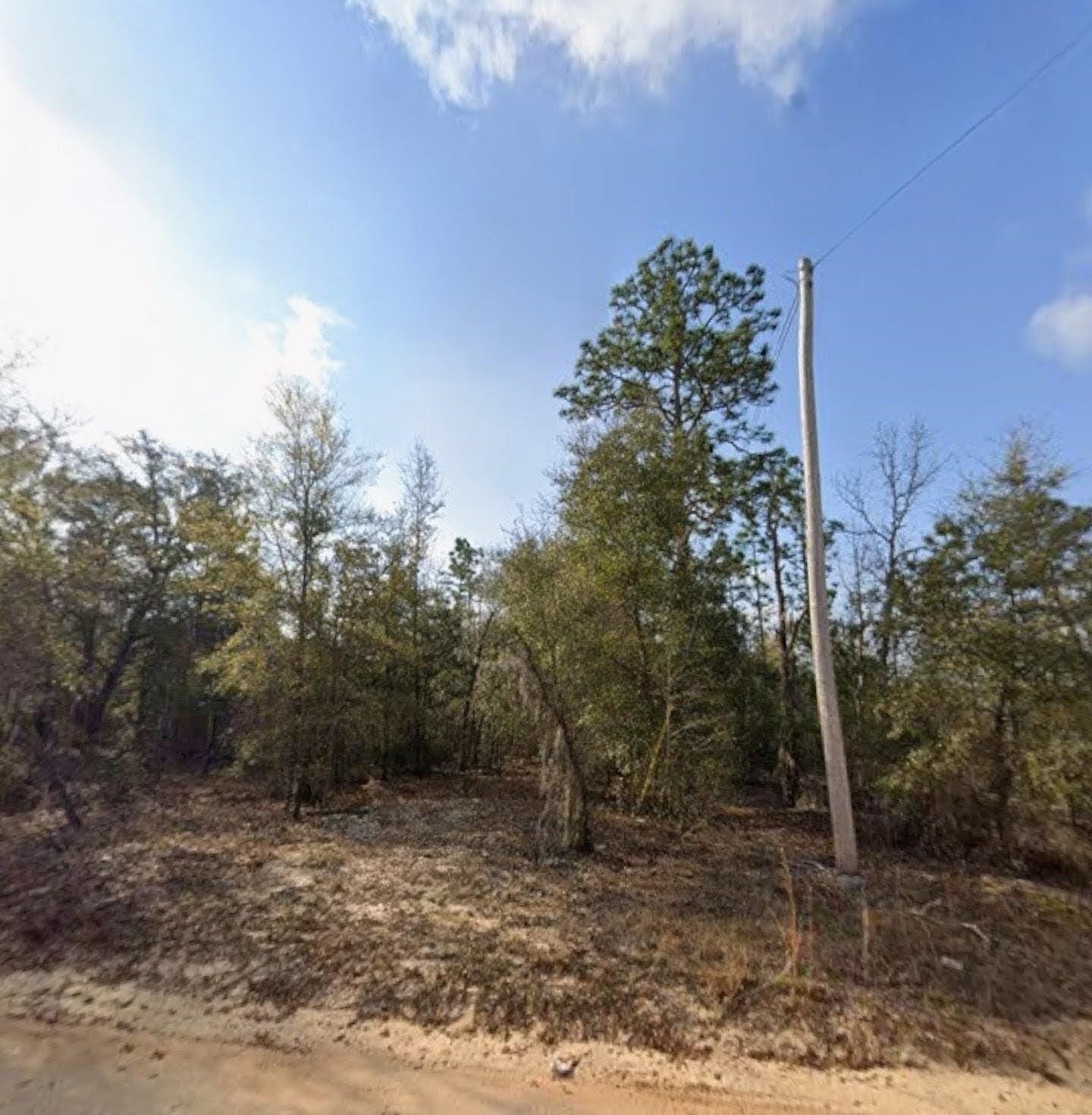 Tbd South 3rd Avenue Interlachen, FL 32148 - Photo 1 of 1 a backyard of a house with lots of trees